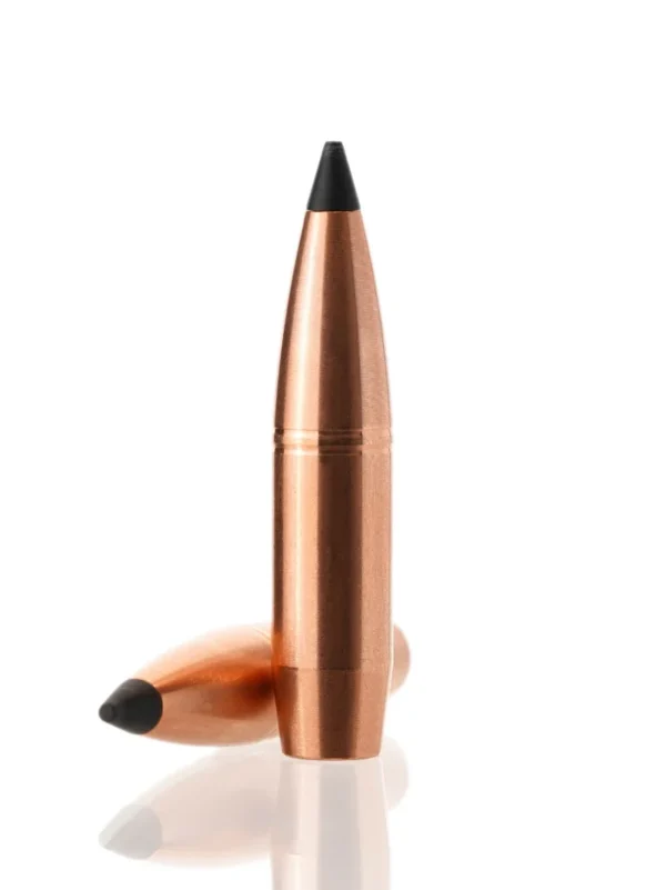 .308 180gr Lazer-Tipped Hollow Point – 50ct